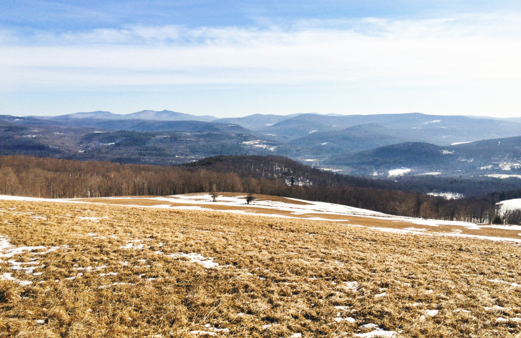 © Margaret Helthaler www.margaretdhelthaler.com View from the top of Thunder Hill in Grahamsville