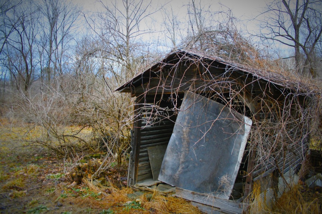 © Jeff Vincent of Catskill Mountain Wild 8.45am