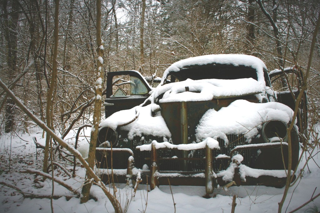 © Jeff Vincent of Catskill Mountain Wild 10am