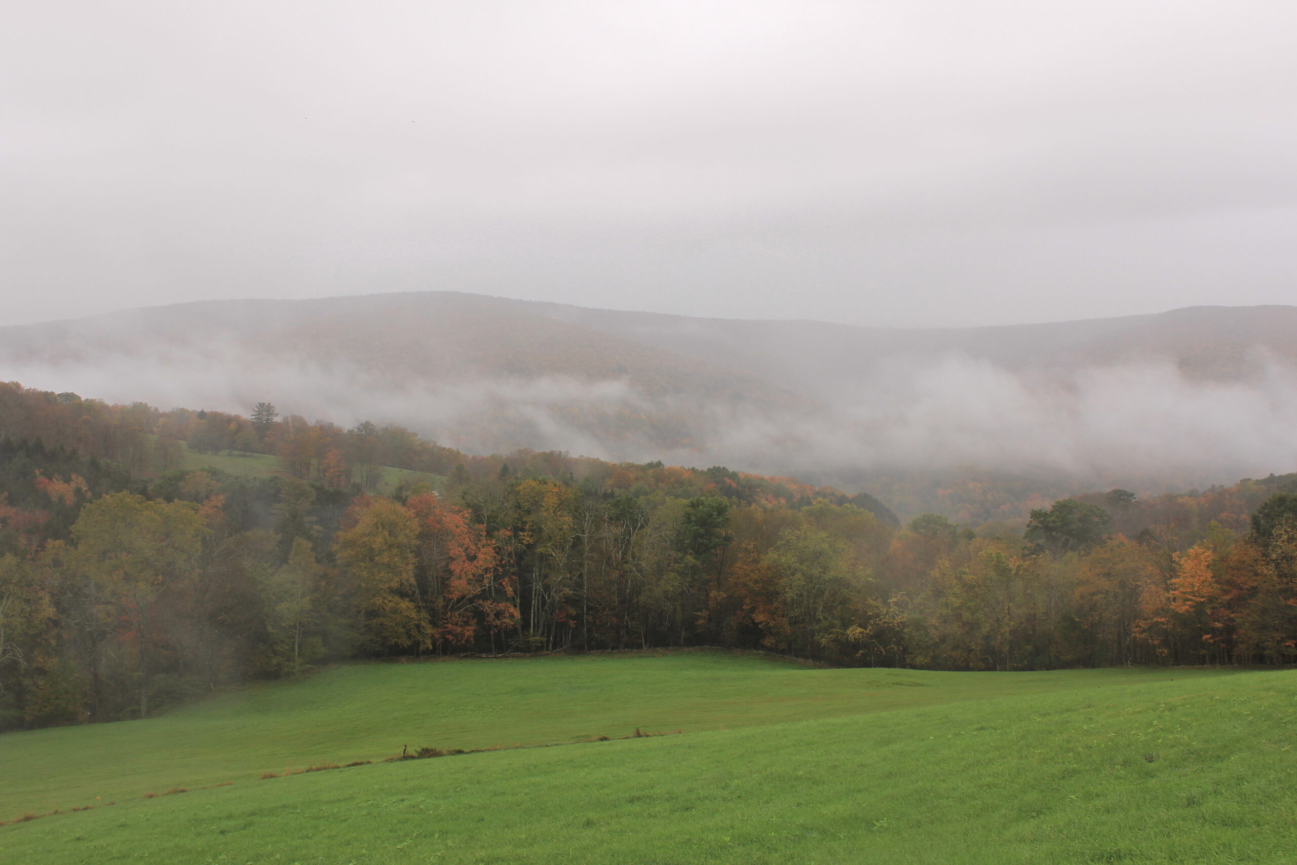 Exploring The Catskill Mountains in Upstate New York - Coral Gables Love
