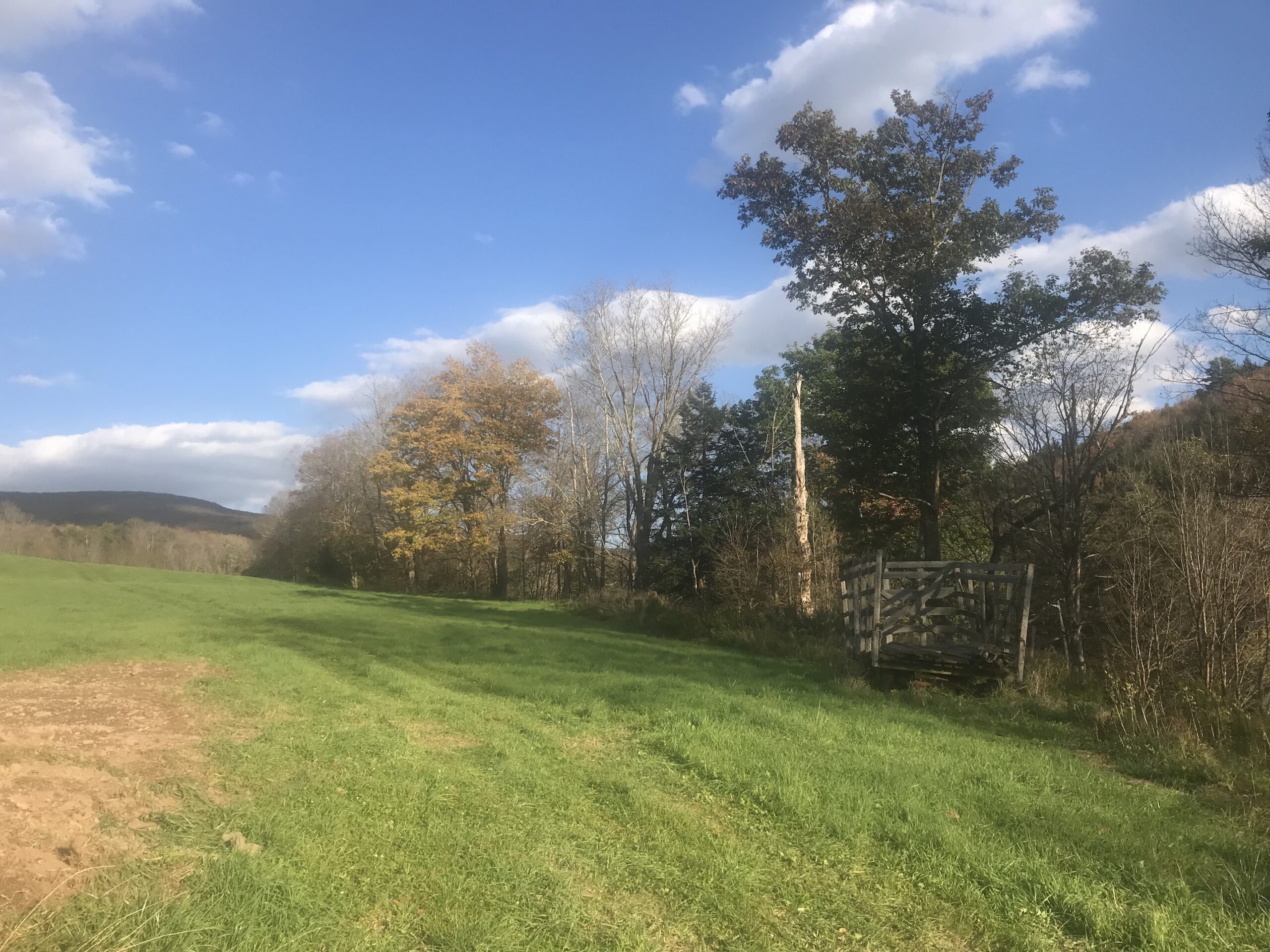 Scenic Tree Lined Country Road In The Catskill Mountains Of